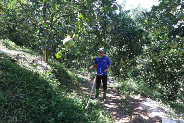 Người trẻ khởi nghiệp với nghề n&ocirc;ng- Ảnh 2.