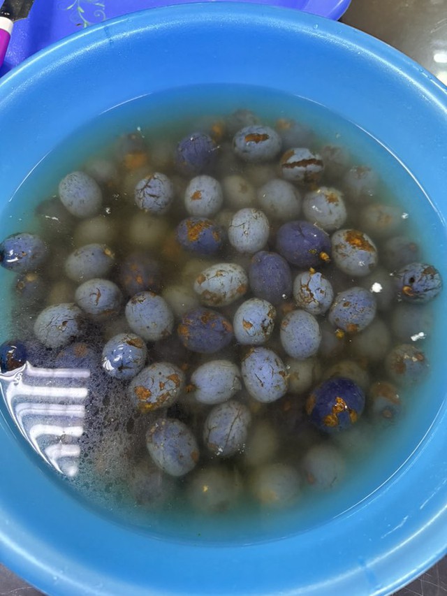 Trái cọ vào mùa thành trend mạng xã hội: Ăn sao cho đúng, kẻo rát cổ? - Ảnh 3.