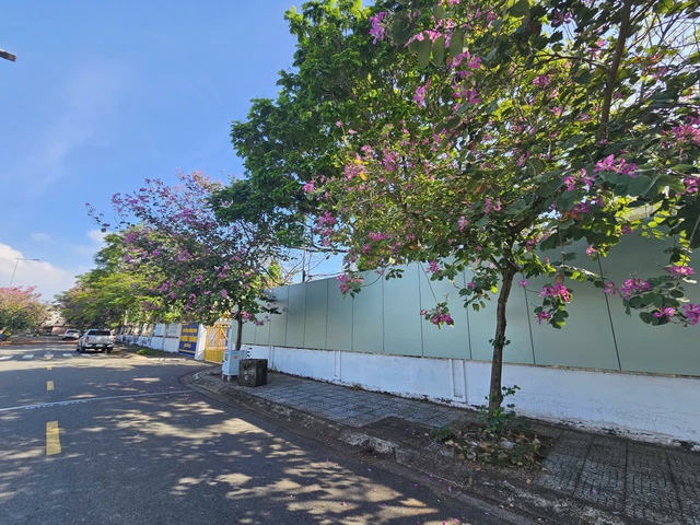 TPHCM: Trường mầm non bất lực d&ugrave;ng t&ocirc;n che chắn m&ugrave;i h&ocirc;i thối cho trẻ học - Ảnh 3.