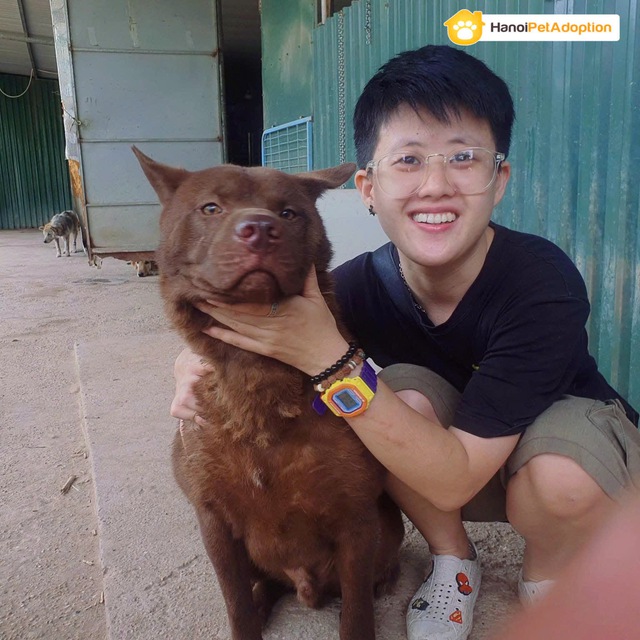 Chim Cú lợn Cú Đá hồi sinh kỳ diệu Sau khi bị Đá ra bãi rác - Ảnh 3. Chim Cú lợn Cú Đá hồi sinh kỳ diệu Sau khi bị Đá ra bãi rác - Ảnh 3.