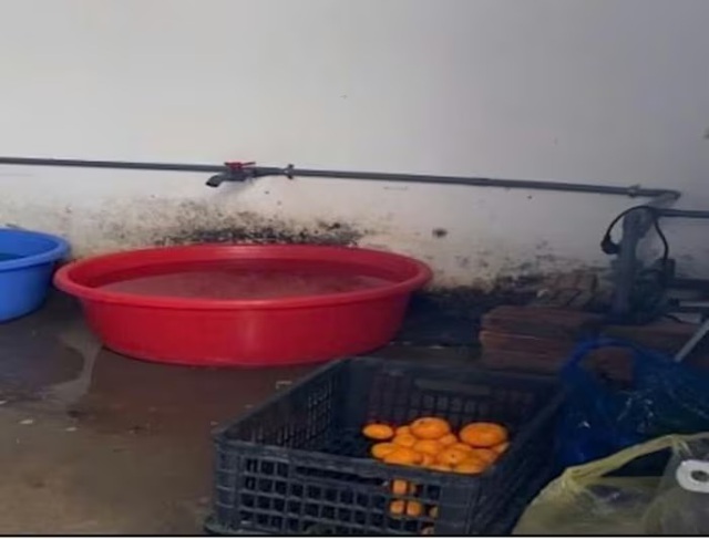 H&agrave; Nội: Ph&aacute;t hiện loạt vi phạm trong cung cấp suất ăn b&aacute;n tr&uacute; cho học sinh - Ảnh 1.