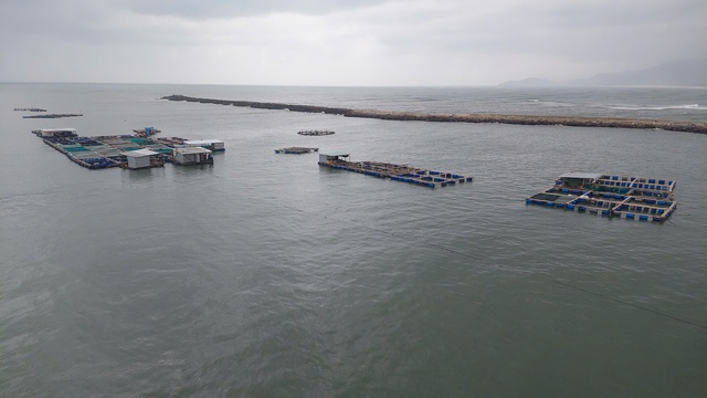 Người d&acirc;n xin tiếp tục nu&ocirc;i trồng thủy sản tr&aacute;i ph&eacute;p - Ảnh 1.