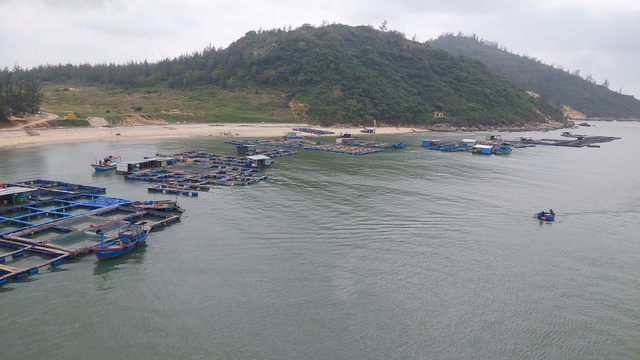 Người d&acirc;n xin tiếp tục nu&ocirc;i trồng thủy sản tr&aacute;i ph&eacute;p - Ảnh 2.