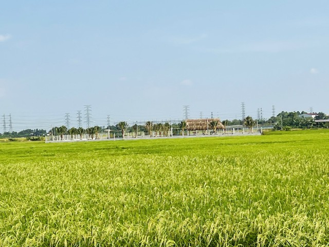 Đưa khuyến nông về cấp xã   - Ảnh 1.