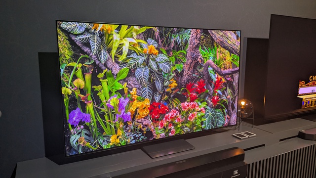 Tuổi thọ thực tế của TV OLED trong bao l&acirc;u? - Ảnh 1.