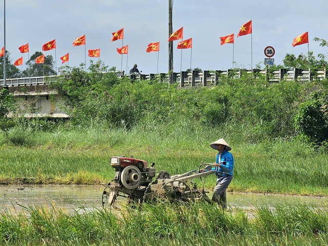 T&aacute;i thiết v&ugrave;ng rốn lũ: Dựng lại cơ nghiệp ở v&ugrave;ng rốn lũ H&ograve;a Thịnh- Ảnh 4.