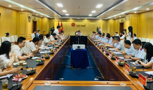 Thanh tra Ch&iacute;nh phủ 5 dự &aacute;n của ng&agrave;nh thuế - Ảnh 1.