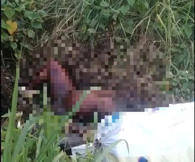 TP.HCM: Ph&aacute;t hiện người l&otilde;a thể, chết l&acirc;u ng&agrave;y cạnh trạm thu ph&iacute;- Ảnh 1.