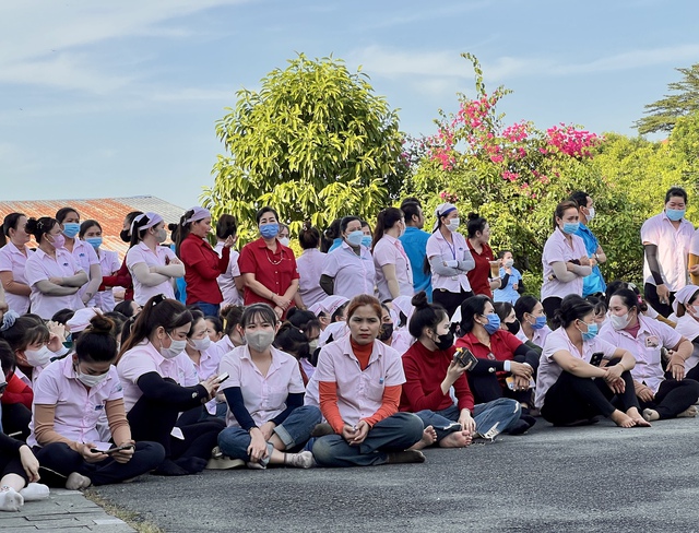 Có 7 công ty muốn tuyển công nhân Panko Vina mất việc trước tết - Ảnh 3.
