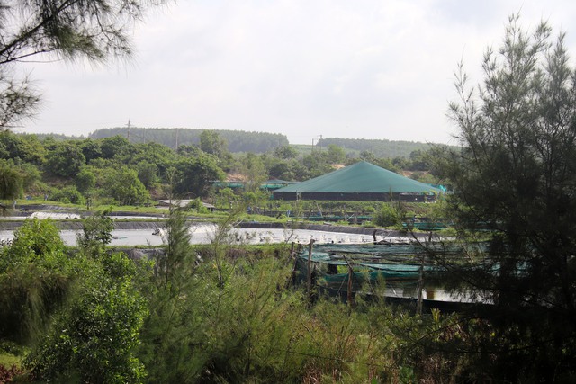 Tiến độ giải ph&oacute;ng mặt bằng KCN Sơn Mỹ v&agrave; những vấn đề cần giải quyết - Ảnh 2.