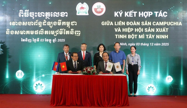 T&acirc;y Ninh 'chốt' mua 9 triệu tấn sắn mỗi năm từ Campuchia- Ảnh 1.