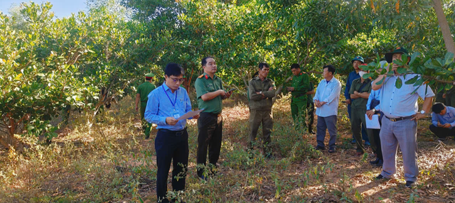 Mũi N&eacute; sau s&aacute;p nhập, quyết xử l&yacute; nghi&ecirc;m x&acirc;y dựng tr&aacute;i ph&eacute;p, lấn chiếm đất c&ocirc;ng - Ảnh 3.