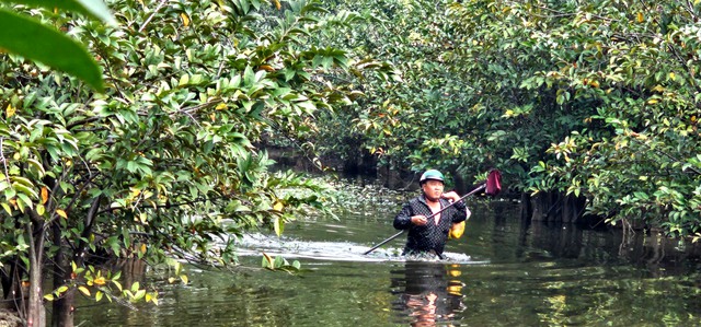 Gian nan nghề hái lộc trời tại Sài Gòn giữa dòng đời hiện đại - Ảnh 6. Gian nan nghề hái lộc trời tại Sài Gòn giữa dòng đời hiện đại - Ảnh 6.
