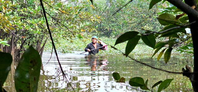 Gian nan nghề hái lộc trời tại Sài Gòn giữa dòng đời hiện đại - Ảnh 5. Gian nan nghề hái lộc trời tại Sài Gòn giữa dòng đời hiện đại - Ảnh 5.