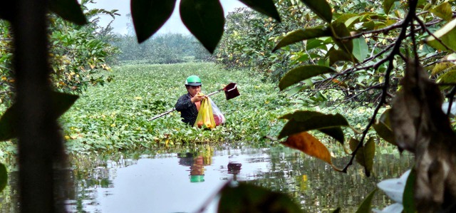 Gian nan nghề hái lộc trời tại Sài Gòn giữa dòng đời hiện đại - Ảnh 9. Gian nan nghề hái lộc trời tại Sài Gòn giữa dòng đời hiện đại - Ảnh 9.