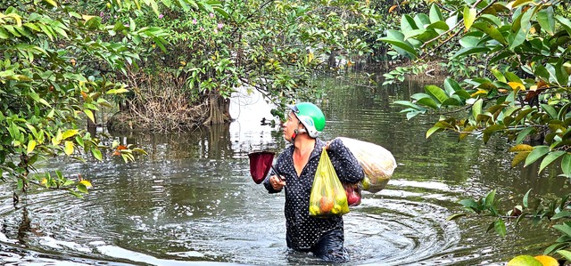 Gian nan nghề hái lộc trời tại Sài Gòn giữa dòng đời hiện đại - Ảnh 8. Gian nan nghề hái lộc trời tại Sài Gòn giữa dòng đời hiện đại - Ảnh 8.