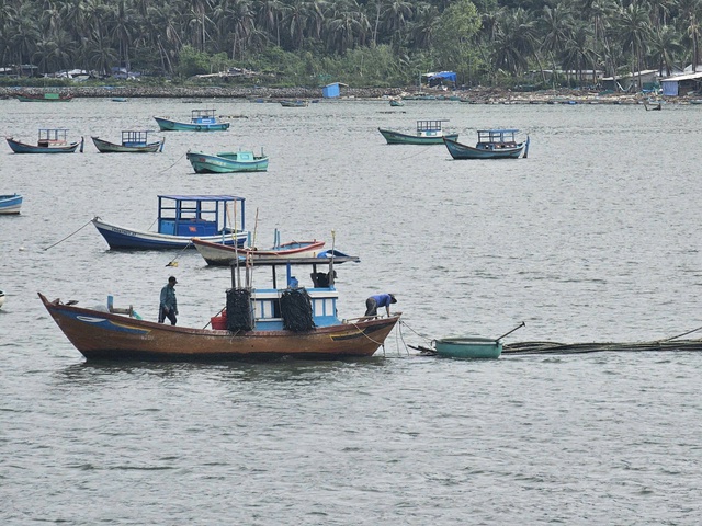 Thủ phủ t&ocirc;m h&ugrave;m hồi sinh - Ảnh 4.