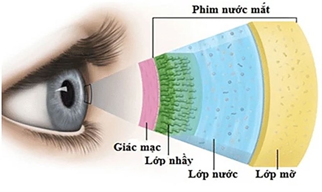 Kh&ocirc; mắt: Mối lo phổ biến trong thời đại số v&agrave; c&aacute;c giải ph&aacute;p chăm s&oacute;c mắt - Ảnh 1.