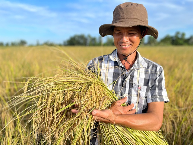 L&uacute;a gạo miền T&acirc;y thay đổi tư duy 'l&agrave;m nhiều' sang 'l&agrave;m đ&uacute;ng'- Ảnh 3.