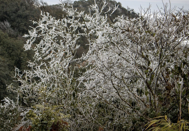 Hôm nay 7.12 người Việt chính thức đón tiết Đại tuyết: Thời tiết sẽ lạnh hơn?- Ảnh 2. Hôm nay 7.12 người Việt chính thức đón tiết Đại tuyết: Thời tiết sẽ lạnh hơn?- Ảnh 2.