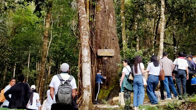 Du lịch xanh là tất yếu để phát triển du lịch Việt Nam- Ảnh 3.