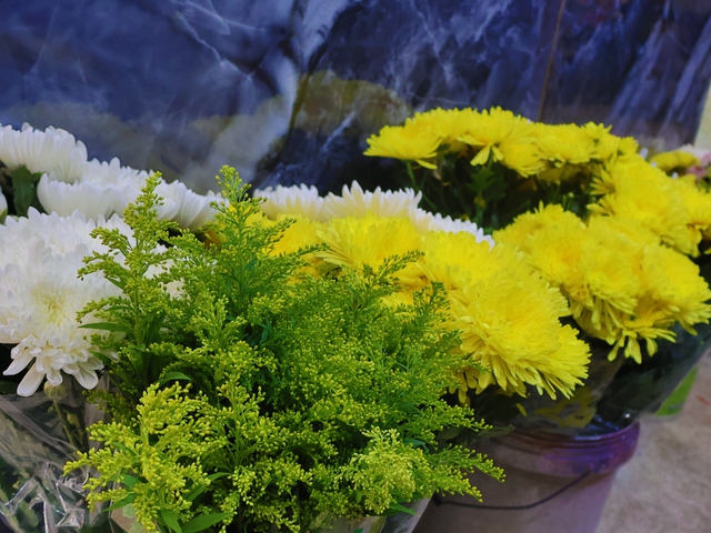 Hỏa t&aacute;ng th&uacute; cưng: Ng&agrave;y đầu v&agrave;o B&igrave;nh Hưng H&ograve;a 'hơi sợ sợ'- Ảnh 1.