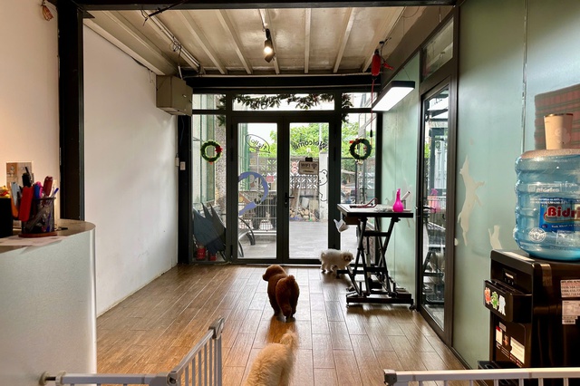 L&agrave;m đẹp th&uacute; cưng ở TP.HCM: &Aacute;p lực 'khủng' với kh&aacute;ch h&agrave;ng 4 ch&acirc;n- Ảnh 1.