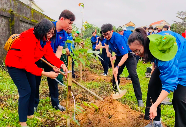 Chi hơn 15.200 tỉ đồng trồng 1,4 tỉ cây xanh khắp Việt Nam - Ảnh 1.