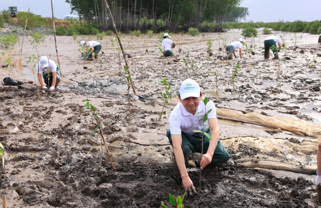 Chi hơn 15.200 tỉ đồng trồng 1,4 tỉ cây xanh khắp Việt Nam - Ảnh 2.