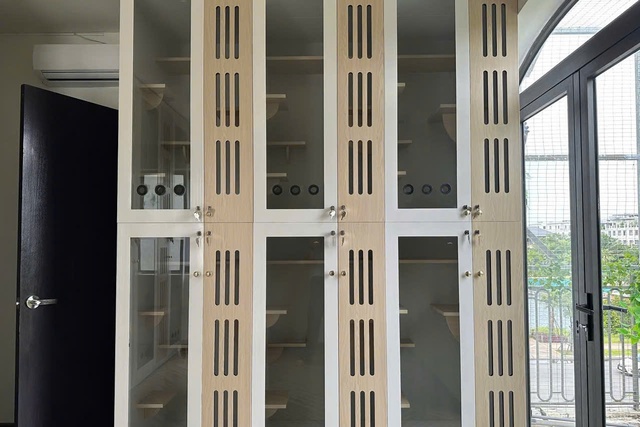 L&agrave;m đẹp th&uacute; cưng ở TP.HCM: &Aacute;p lực 'khủng' với kh&aacute;ch h&agrave;ng 4 ch&acirc;n- Ảnh 7.