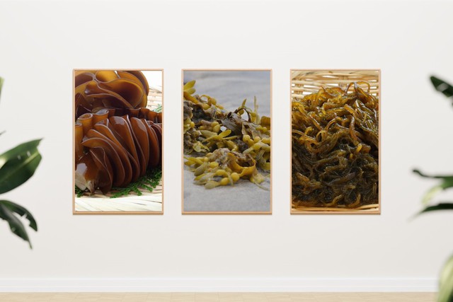 Công dụng vượt trội khi Fucoida được kết hợp đúng cách - Ảnh 1.