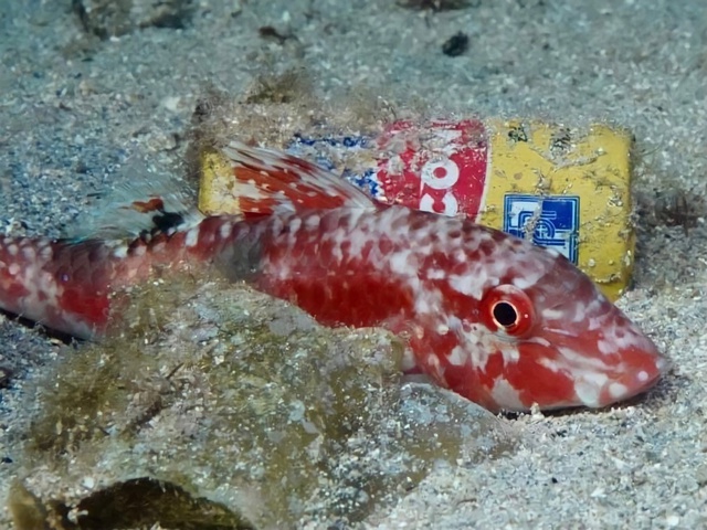 Sự diệu kỳ của lòng nhân ái- Ảnh 1. Sự diệu kỳ của lòng nhân ái- Ảnh 1.