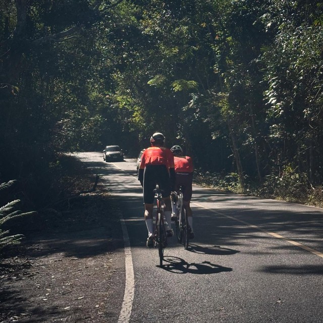 Voi rừng cản đường đội tuyển xe đạp Việt Nam tập luyện ở Thái Lan: SEA Games 33 nhiều chuyện ‘lạ’- Ảnh 2. Voi rừng cản đường đội tuyển xe đạp Việt Nam tập luyện ở Thái Lan: SEA Games 33 nhiều chuyện ‘lạ’- Ảnh 2.