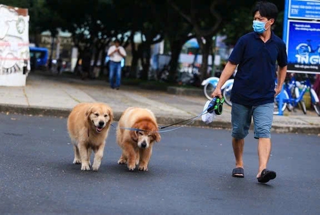 Chịu tr&aacute;ch nhiệm h&igrave;nh sự tội g&igrave; nếu th&uacute; cưng g&acirc;y chết người?- Ảnh 1.