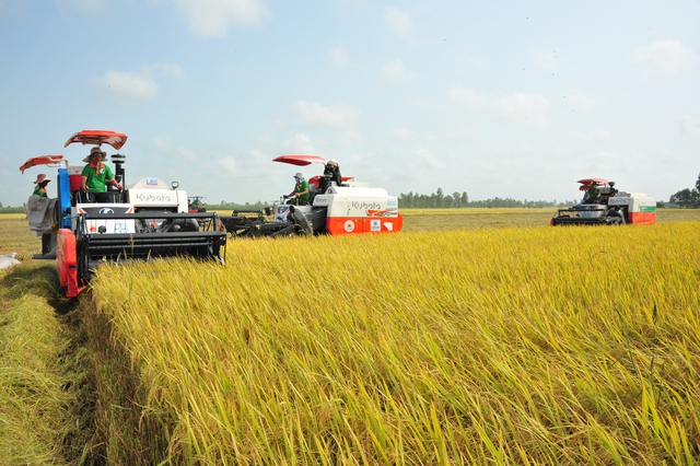 Gạo Việt từ ngon nhất đến 'xanh' nhất thế giới- Ảnh 2.