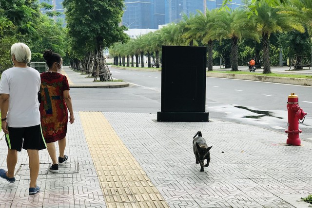 Chịu tr&aacute;ch nhiệm h&igrave;nh sự tội g&igrave; nếu th&uacute; cưng g&acirc;y chết người?- Ảnh 2.