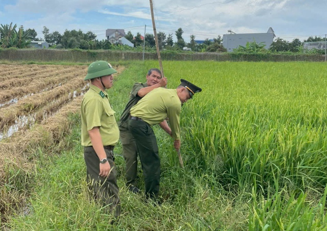 Cấp tốc tháo gỡ hàng trăm mét bẫy lưới các loài chim hoang dã ở TP.HCM - Ảnh 1.