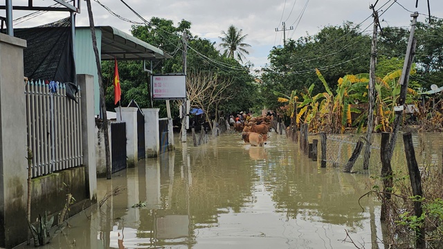 Hàng chục hộ dân buôn Nú phải chịu đựng cuộc sống khó khăn do ngập lụt - Ảnh 2. Hàng chục hộ dân buôn Nú phải chịu đựng cuộc sống khó khăn do ngập lụt - Ảnh 2.