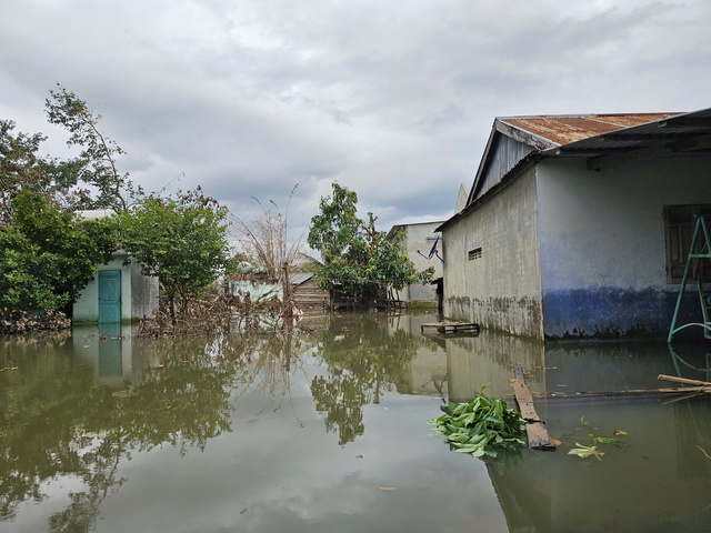 Hàng chục hộ dân buôn Nú phải chịu đựng cuộc sống khó khăn do ngập lụt - Ảnh 3. Hàng chục hộ dân buôn Nú phải chịu đựng cuộc sống khó khăn do ngập lụt - Ảnh 3.