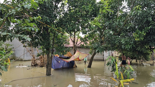 Hàng chục hộ dân buôn Nú phải chịu đựng cuộc sống khó khăn do ngập lụt - Ảnh 1. Hàng chục hộ dân buôn Nú phải chịu đựng cuộc sống khó khăn do ngập lụt - Ảnh 1.