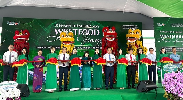 Tăng trưởng kinh tế phấn đấu đạt mức cao- Ảnh 4. Tăng trưởng kinh tế phấn đấu đạt mức cao- Ảnh 4.