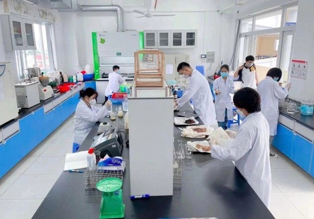 Cấp học bổng để nâng chất lượng đào tạo tiến sĩ - Ảnh 2.