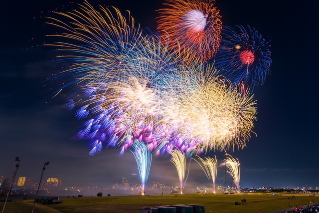 Pháo hoa đón năm mới 2026: Màu sắc của pháo hoa được tạo thành thế nào? - Ảnh 2.