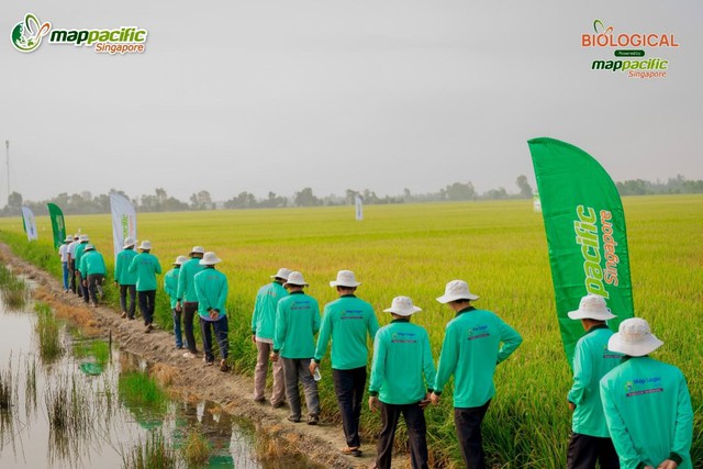 Hành trình 25 năm đồng hành cùng nền nông nghiệp bền vững của Map Pacific Singapore - Ảnh 1.
