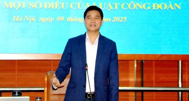 Luật Công đoàn là 'vũ khí pháp lý' quan trọng của cán bộ công đoàn- Ảnh 1.