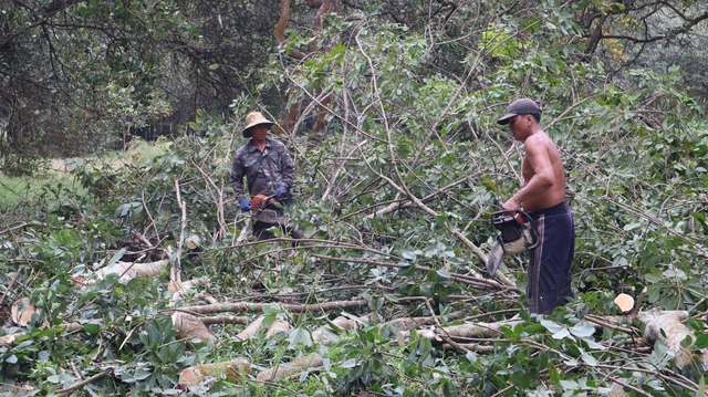 Doanh nghiệp dự &aacute;n cao tốc Gia Nghĩa - Chơn Th&agrave;nh xin chuyển từ BOT sang BT - Ảnh 1.
