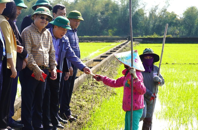 Ra đồng đầu năm, nông dân Quảng Trị bất ngờ được quyền Chủ tịch tỉnh lì xì- Ảnh 1.