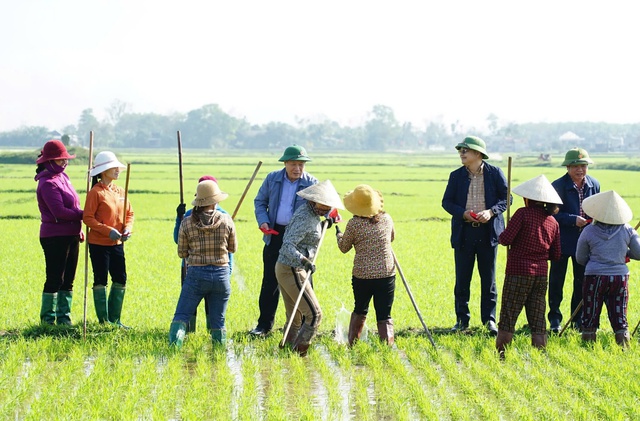 Ra đồng đầu năm, nông dân Quảng Trị bất ngờ được quyền Chủ tịch tỉnh lì xì- Ảnh 2.