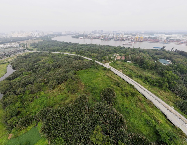 TP.HCM 'hồi sinh' khu lâm viên sinh thái hơn 150 ha- Ảnh 2. TP.HCM 'hồi sinh' khu lâm viên sinh thái hơn 150 ha- Ảnh 2.