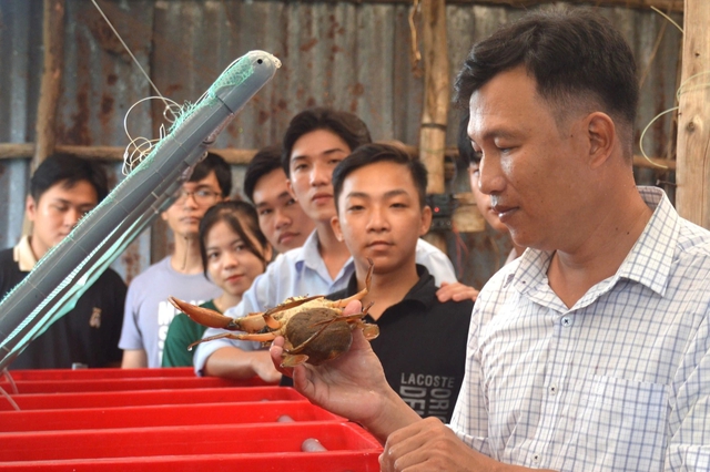 'Tiến sĩ cua' nâng giá trị đặc sản của Cà Mau và thu lợi nhuận cao- Ảnh 2.